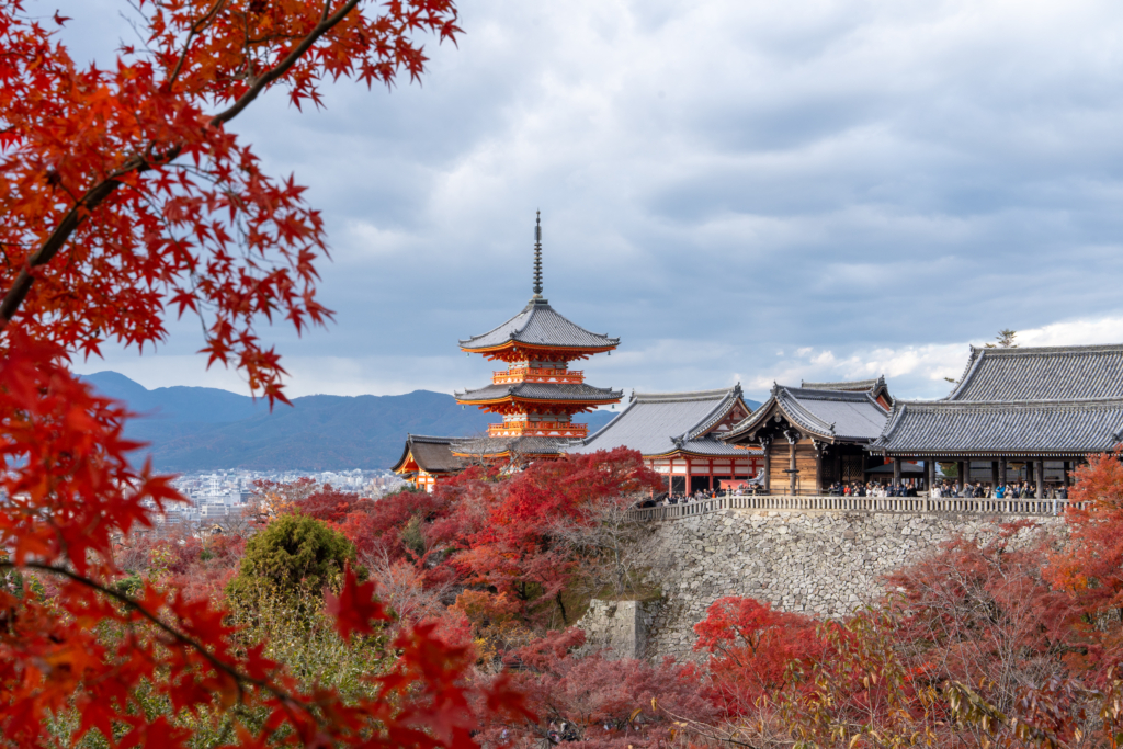 京都🍁