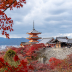 京都🍁